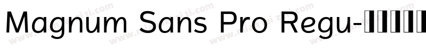Magnum Sans Pro Regu字体转换